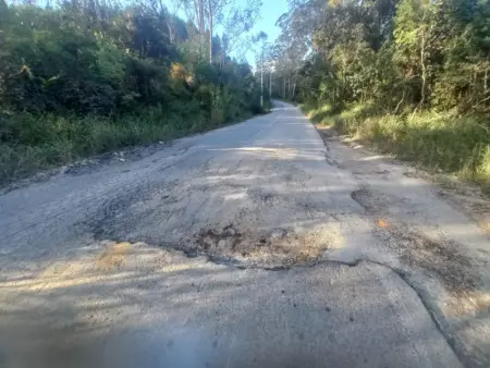 Fotografia ao nível do asfalto de uma estrada cercada por mata fechada. Em primeiro plano, um grande buraco e rachaduras profundas ocupam quase toda a largura da pista, dificultando a passagem de veículos.