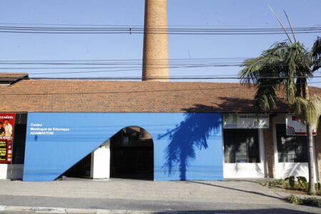 IPS Voto em Transito 1