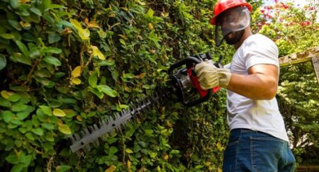 Homem cortando folhas em jardim