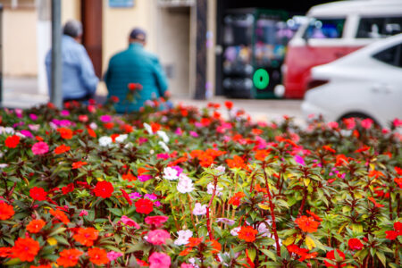 Primavera comeca nesta semana e revela novas paisagens em Guararema Guararema Credito fotos Warley Kenji Comunicacao PMG 3